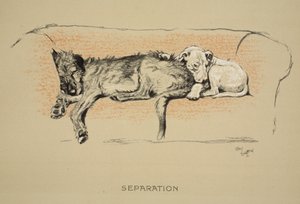Separation, 1930, 1. utgave av 
